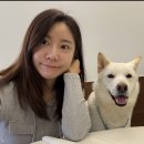 숱,컷 | ✂️ 머리숱 부자의 운정레이어드컷 대만조쿠 후기🐶💛