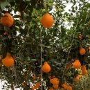 미경농장 이미지