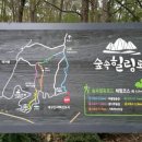 초례산 숲속 힐링로드 이미지