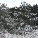 억척목장 이미지