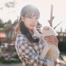 고양이정원 이미지