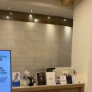 광화문더블유치과의원 | 시청역 광화문 내돈내산 상악임플란트 임플란트 바움치과 후기