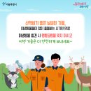 서울시 야생동물 구조관리센터 이미지