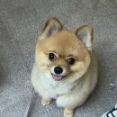 편안장여관 네이버블로그