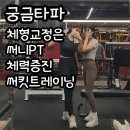 에이블짐 골프아카데미 신논현역 이미지