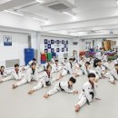 용인대 금메달 태권도 이미지