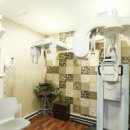 라임나무 이미지