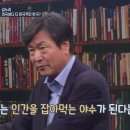 김누리 카카오 검색결과