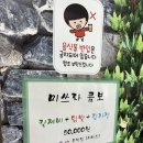 숲속에작은집 | 숲속의 작은집 | 남양주 맛집 미쓰라콤보 내돈내산 솔직후기