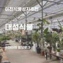 이천 식물성지 | 화초 저렴한 곳 내돈내산 후기