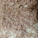 농사지은 재료로 만든 김치 만능양념장 배추김치 50키로 이미지