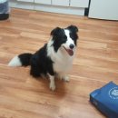 산수펜션 이미지