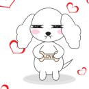 프리티파우 이미지