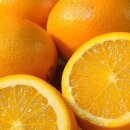 안의상회 이미지