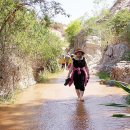 해변수산 이미지