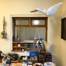 차귀도 약국 이미지