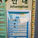 4살 아기와 대전 &lt;오월드&gt; 야간 개장 후기