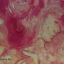 카페1998 - 해남군 구교3길 17-18 | 카페1998