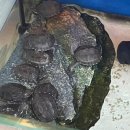 행복양품 이미지