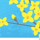 늦게 피는 꽃 이미지