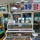 대포활게 네이버블로그