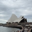 (주)비브라더 | [6박7일 시드니 여행] 1일차 : 남매가 함께한 시드니 자유여행 코스 🇦🇺