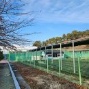 모덕체육공원 테니스장 이미지