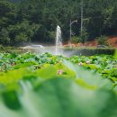 물왕저수지 · 시흥그린웨이 · 갯골생태공원 이미지