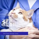 분당24시동물의료센터 이미지