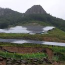 수산태양광발전소 이미지