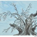 선비뜨락 이미지