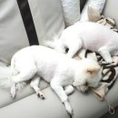 순천만동물병원 이미지