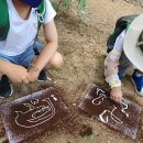 노벨생태어린이집 이미지