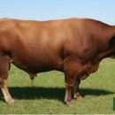 한우나라 농장 이미지