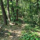 대전둘레산길(12구간) Daum카페