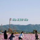 수풍길 네이버블로그