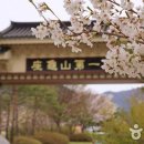 좌구산휴양림 명상의집 이미지