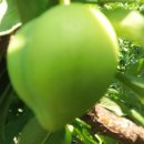 힘차게농장 이미지