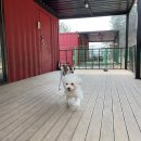 준독트레이닝센터 이미지