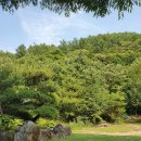 솔바람 힐링하우스 이미지