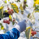 이성재 농장 이미지