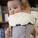 힙시트, 직접 사용해본 육아용품 후기 :: 세들러 힙시트아기띠, 유진, 슈, 대박이 힙시트 / 힙시트를...