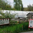 벧엘농원 이미지