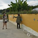 노동하리 이미지