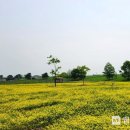 신흥공원 이미지