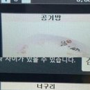 라쿤PC방 이미지