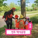 자연아이숲유치원 | 전주 숲체험 깨비의숲마을 아이와 주말 자연 학습 후기