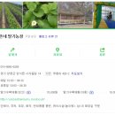 효근농장 | 삼촌네 딸기 체험농장 , 양평(양수리) 아빠들과 함께 하기 좋은곳