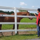 청보리목장 이미지