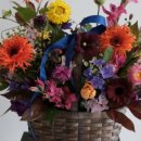 효천1로 L 이미지